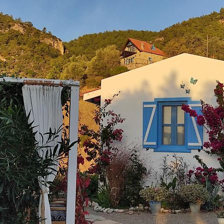 Mavi Kelebek Datca Hotell Exteriör bild