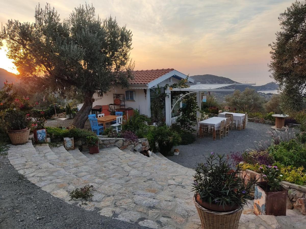 Mavi Kelebek Datça Exteriör bild
