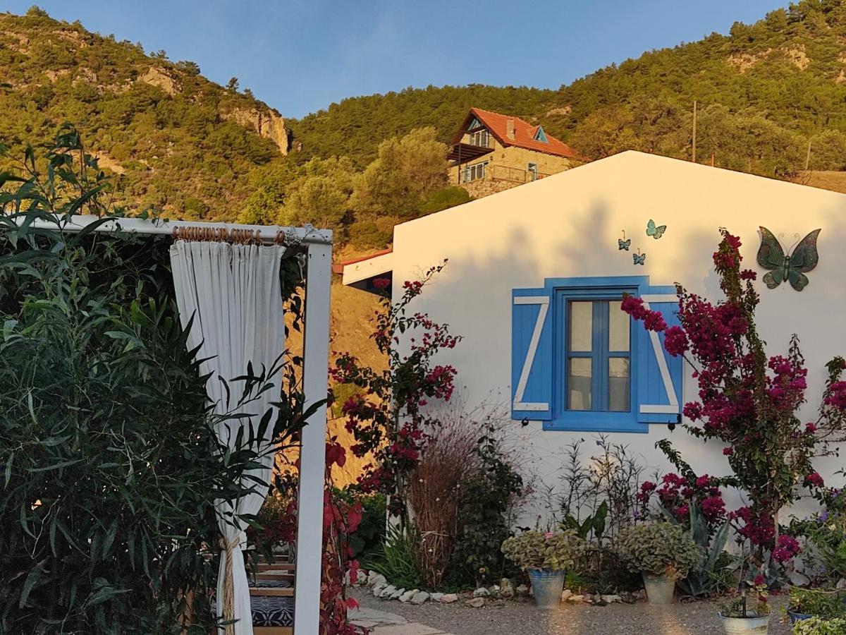 Mavi Kelebek Datca Hotell Exteriör bild