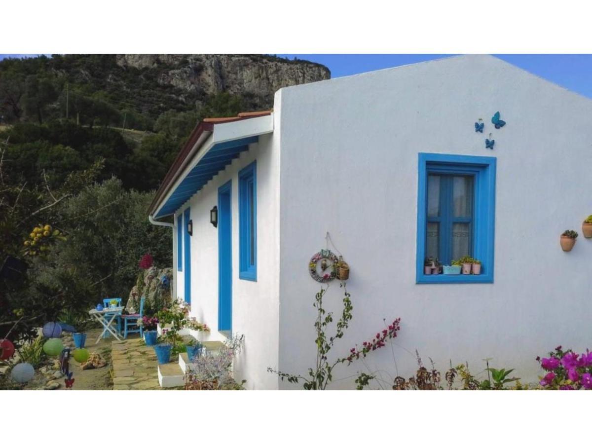 Mavi Kelebek Datça Exteriör bild