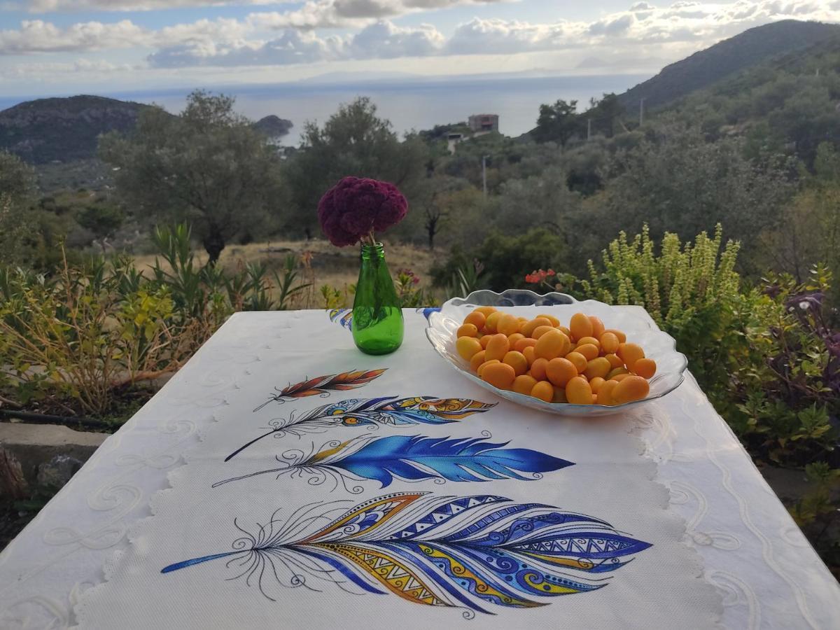 Mavi Kelebek Datça Exteriör bild