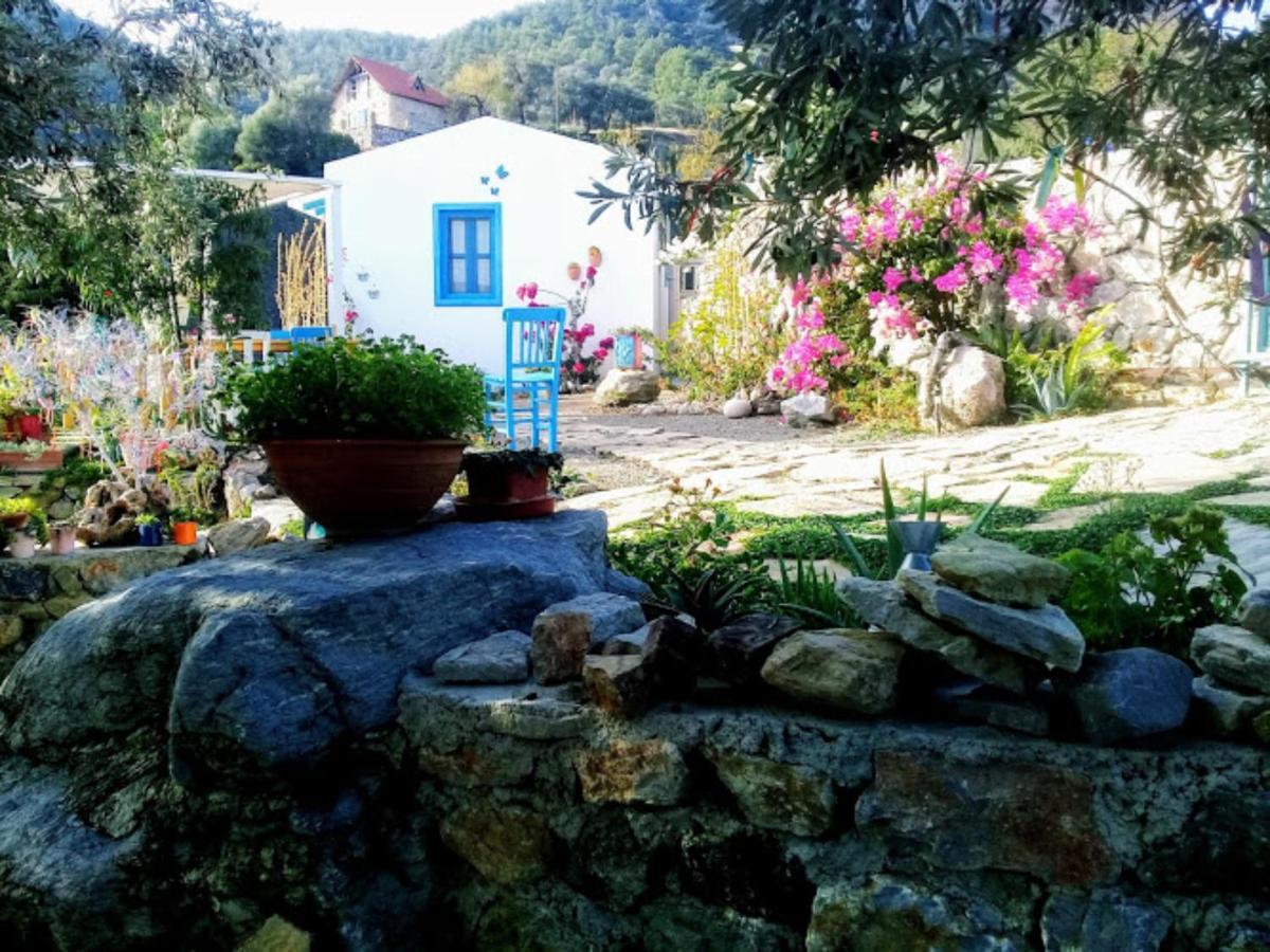 Mavi Kelebek Datca Hotell Exteriör bild