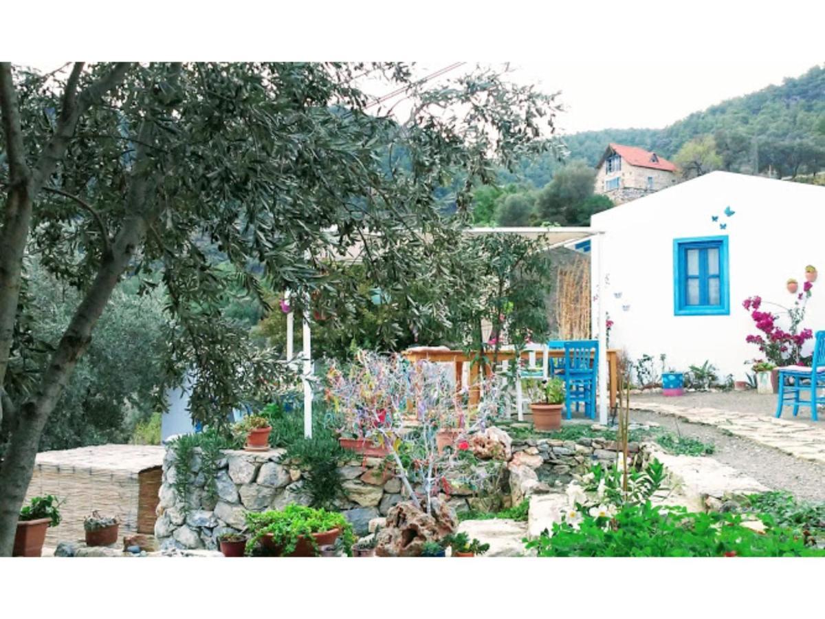 Mavi Kelebek Datça Exteriör bild