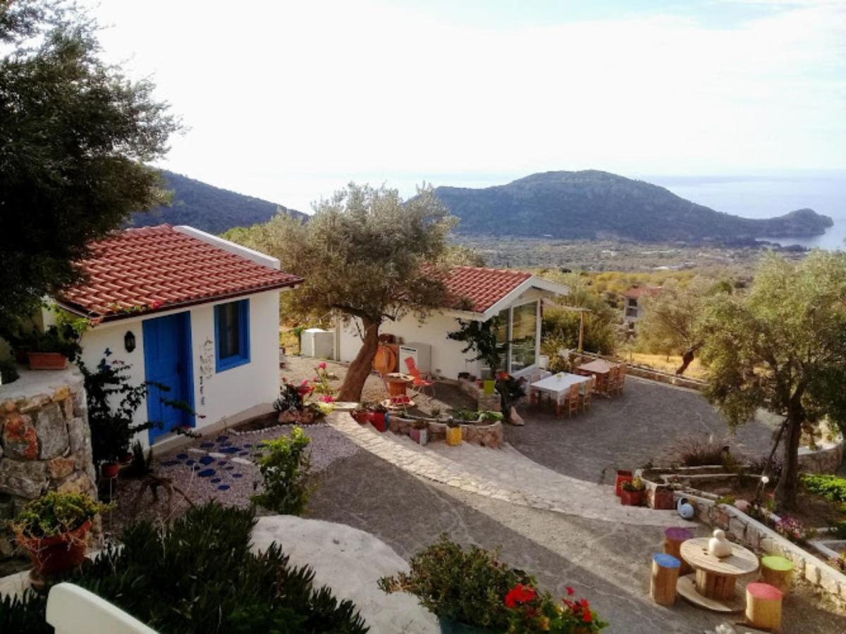Mavi Kelebek Datca Hotell Exteriör bild