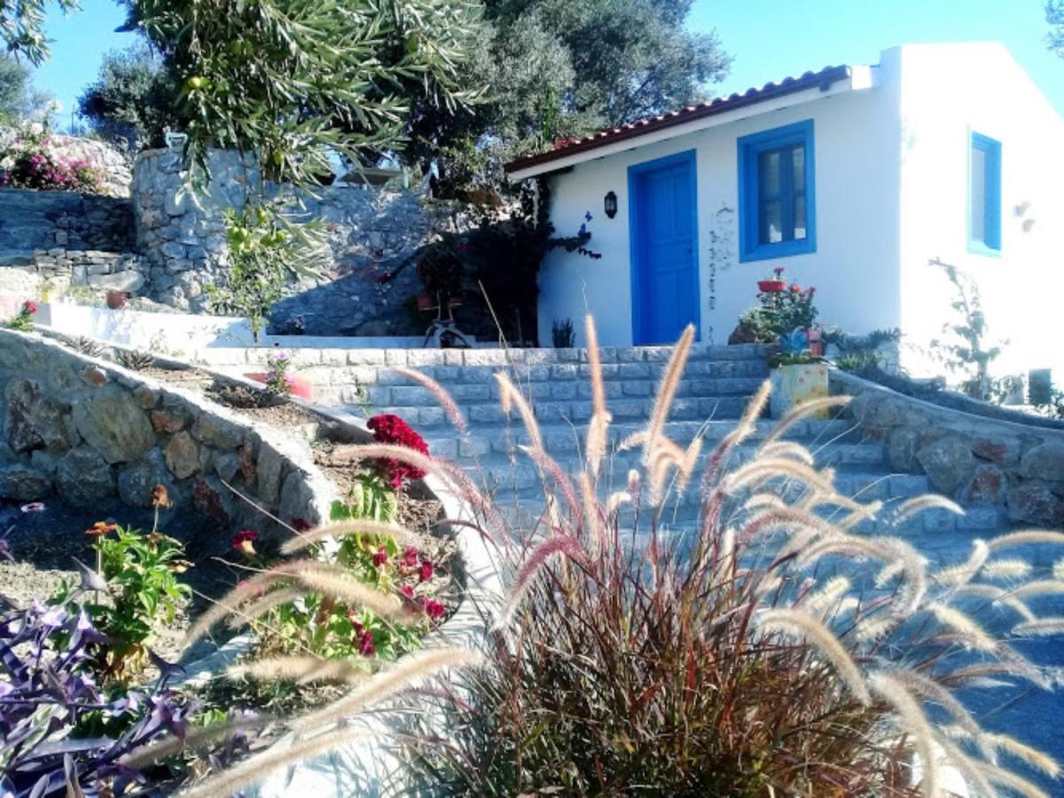 Mavi Kelebek Datça Exteriör bild